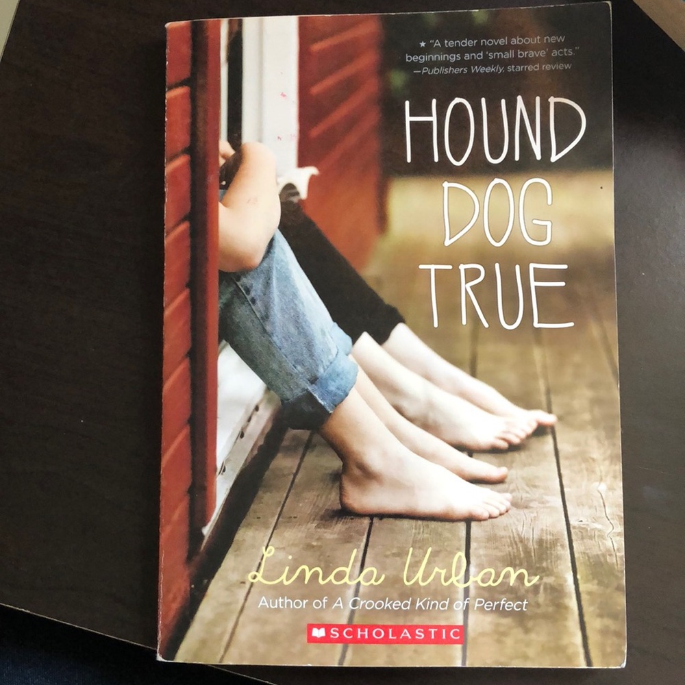 Soft cover Hound Dog True book